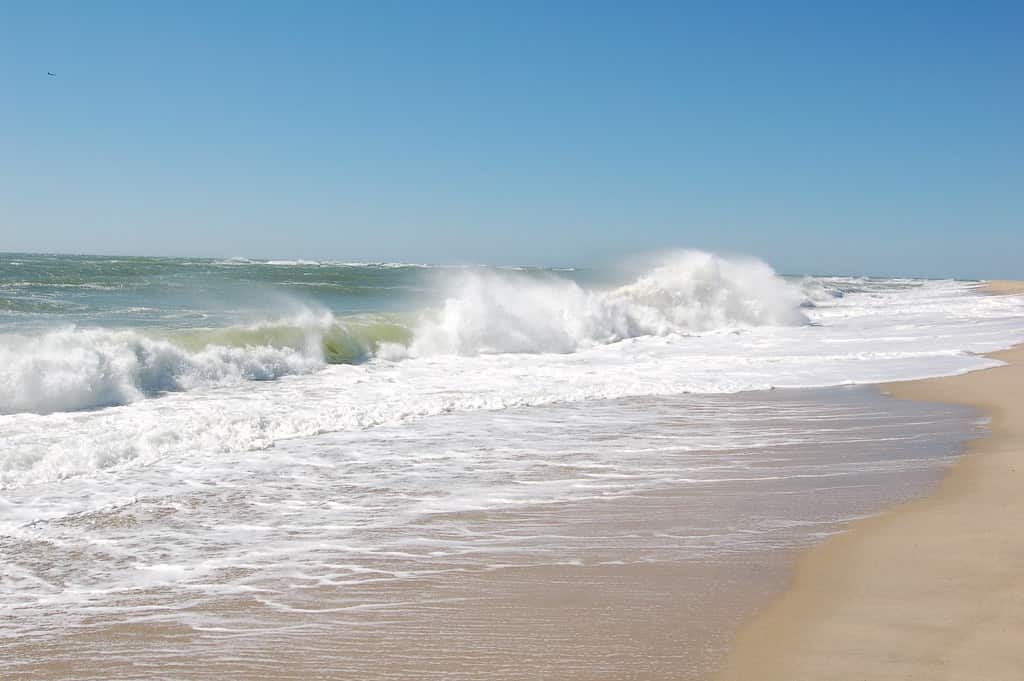 Best time to Visit Nantucket, Surfside Beach 