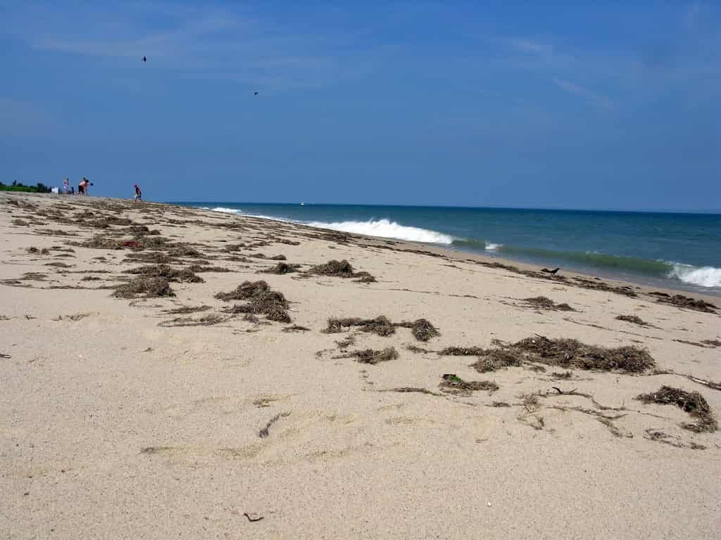 Siasconset Beach, Nantucket