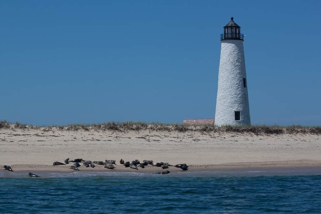 Best time to Visit Nantucket, Great Point Lighthouse